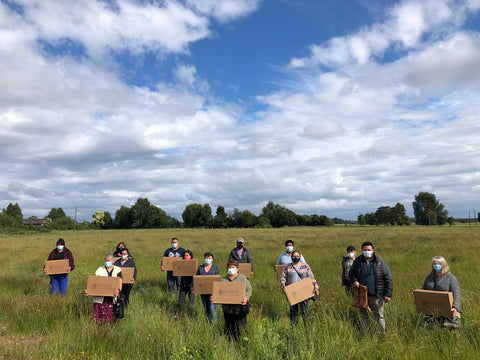 Parque Eólico por LEMU