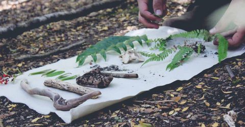 TODOS TENEMOS EL PODER DE CREAR